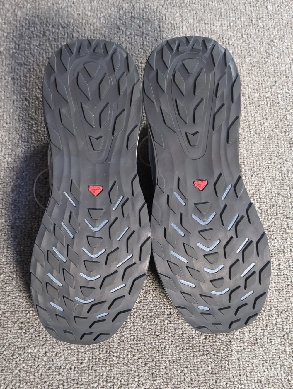 Salomon excellent pre